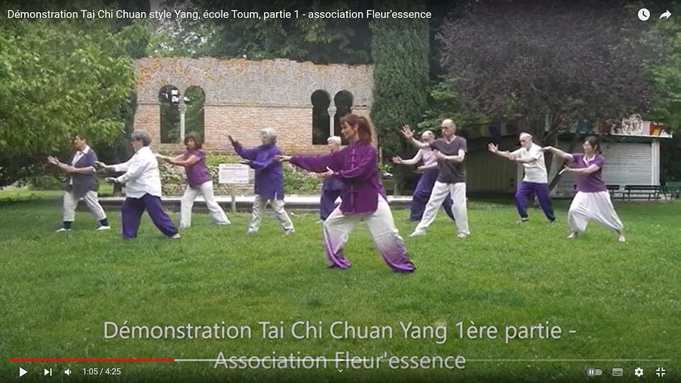 TaiChi-108-mouvements-FleurEssence