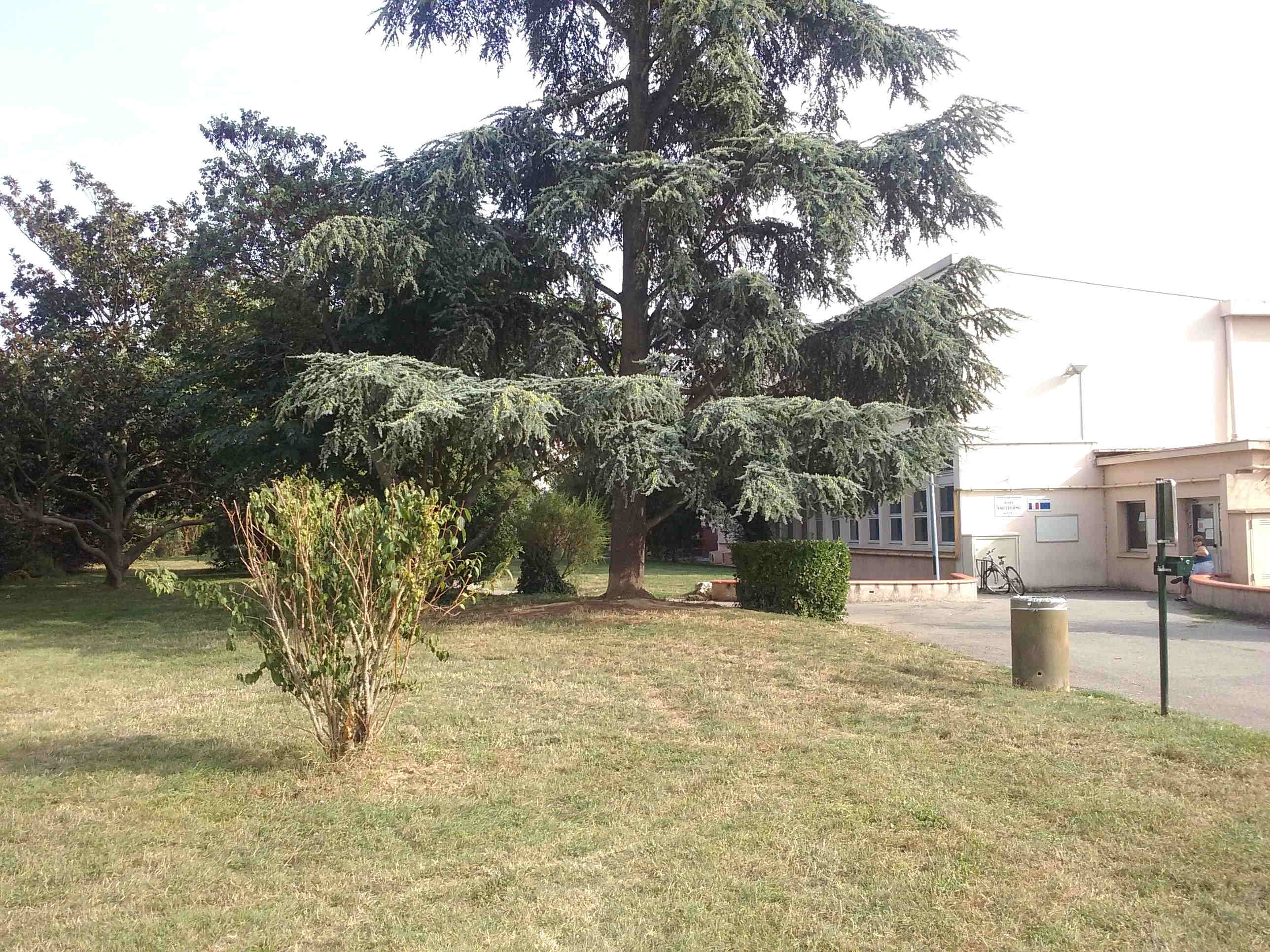 QiGong, Toulouse, Saouzelong,
                Parc devant l'Ecole Elementaire